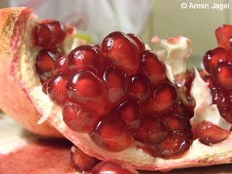 Punica_granatum_BO_ja05.jpg