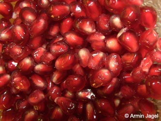 Punica_granatum_BO_ja06.jpg